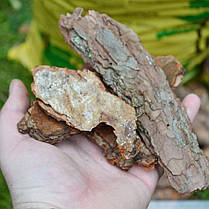 Соснова кора велика 60-100 мм мішок 40 л, фото 5