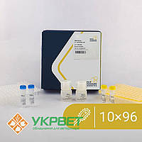 Мультиплексний набір BACGene для ПЛР у реальному часі для виявлення E.coli O157:H7 10x HTP