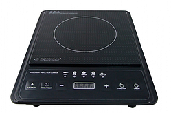 Індукційна плита Esperanza EKH011