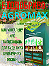 Агромакс 36Саше AGROMAX Стимулятор роста врожаю, фото 4