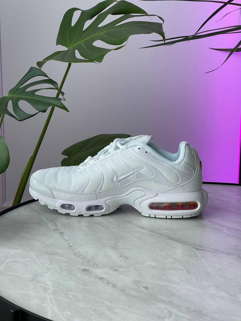 Чоловічі кросівки Nike Air Max Plus TN White (білі) низькі стильні кросівки 0994 Найк vkross