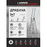 Драбина алюмінієва 3-секційна LADDER STANDARD (3х7 щаблів) (190-9307), фото 6