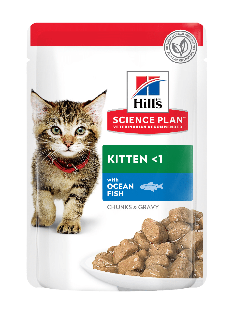 Вологий корм для кошенят з океанічною рибою Hill's SCIENCE PLAN Kitten 85г.12шт