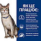 Вологий корм для кішок підтримка функції нирок, з яловичиною, Hill's PRESCRIPTION DIET k/d пауч, 85 г 12 шт, фото 3