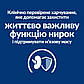 Вологий корм для кішок підтримка функції нирок, з яловичиною, Hill's PRESCRIPTION DIET k/d пауч, 85 г 12 шт, фото 5