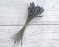 Сухоцвіт квіти лаванди, пучок 50-55 шт, фото 4