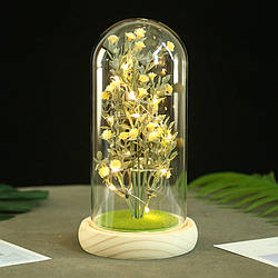 Гіпсофіла в колбі KY-262 з LED підсвічуванням світлодіодний нічник Yellow