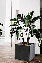 Кашпо Engard "Алано", 30х30х29 см (GA02-1), фото 5