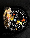 Гель для дизайну CROOZ LEAF GEL #2, 5 г, фото 4