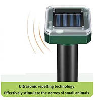 Будинок, сад і город