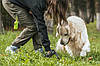 Диспенсер для пакетів, Plastic Dog Poop Bag Dispenser., фото 8