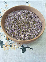 Верес звичайний (Calluna vulgaris (L.) Hill.) 1кг