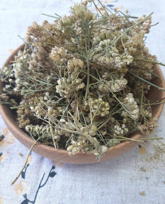 Деревій звичайний, трава (Achilléa millefólium) 500г