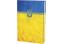 Папка до підпису А4, повнокольорова, жовто-блакитна, E30901-05