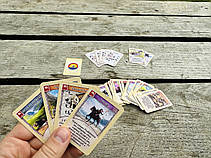 Комплект карт для гри Catan: Колонізатори Ювілейне видання УКРАЇНСЬКОЮ, фото 5