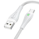 USB кабель Borofone BX100 Advantage USB to Type-C (1m), Сірий, фото 2