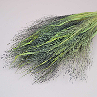 Просо натуральне