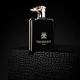 Trussardi Uomo Levriero Collection Limited Edition парфумована вода 100 ml. (Труссарді Умо Левріеро Ліміт), фото 5