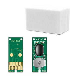 Поглиначчорнила Epson T6711 + чіп WF-3010, WF-3520, WF-3530, WF-3540, WF-3620, фото 1