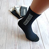 Чоловічі шкарпетки ALBAcotton1996 тенісні з написом 39-42р/12 пар 39-42, фото 4
