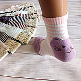 Шкарпетки жіночі ALBA різнокольорові  котики 37-39р | 12 пар, фото 3