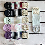 Шкарпетки жіночі ALBA різнокольорові  котики 37-39р | 12 пар, фото 4