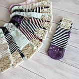 Шкарпетки жіночі ALBA різнокольорові  котики 37-39р | 12 пар, фото 5