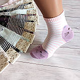 Шкарпетки жіночі ALBA різнокольорові  котики 37-39р | 12 пар, фото 6