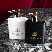 Тестер Trussardi Uomo Levriero Collection Limited Edition парфумована вода 100 ml (Труссарді Умо Левріеро), фото 3