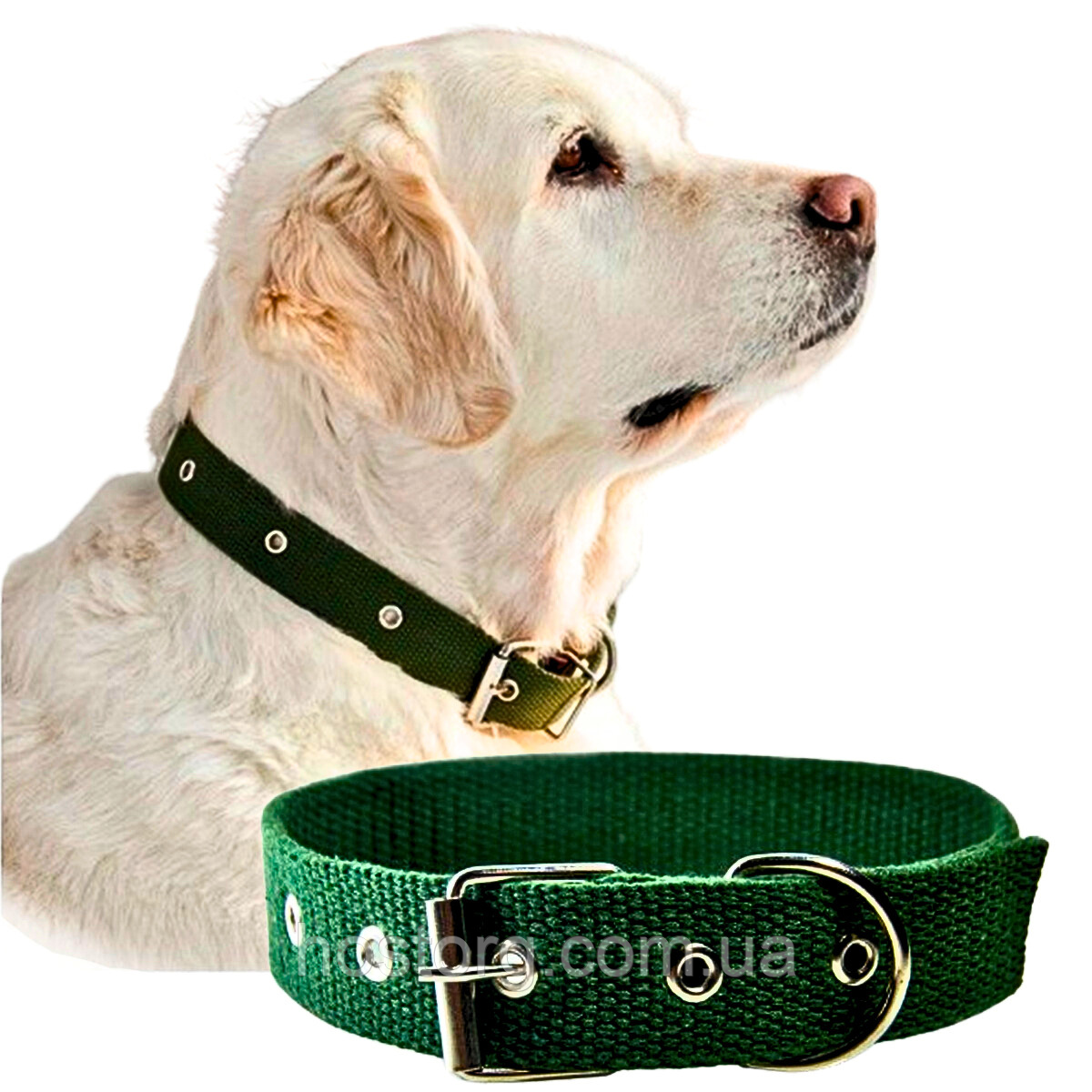 Брезентовий одинарний нашийник для собаки (ширина 25 мм довжина 47 см) з однією пряжкою