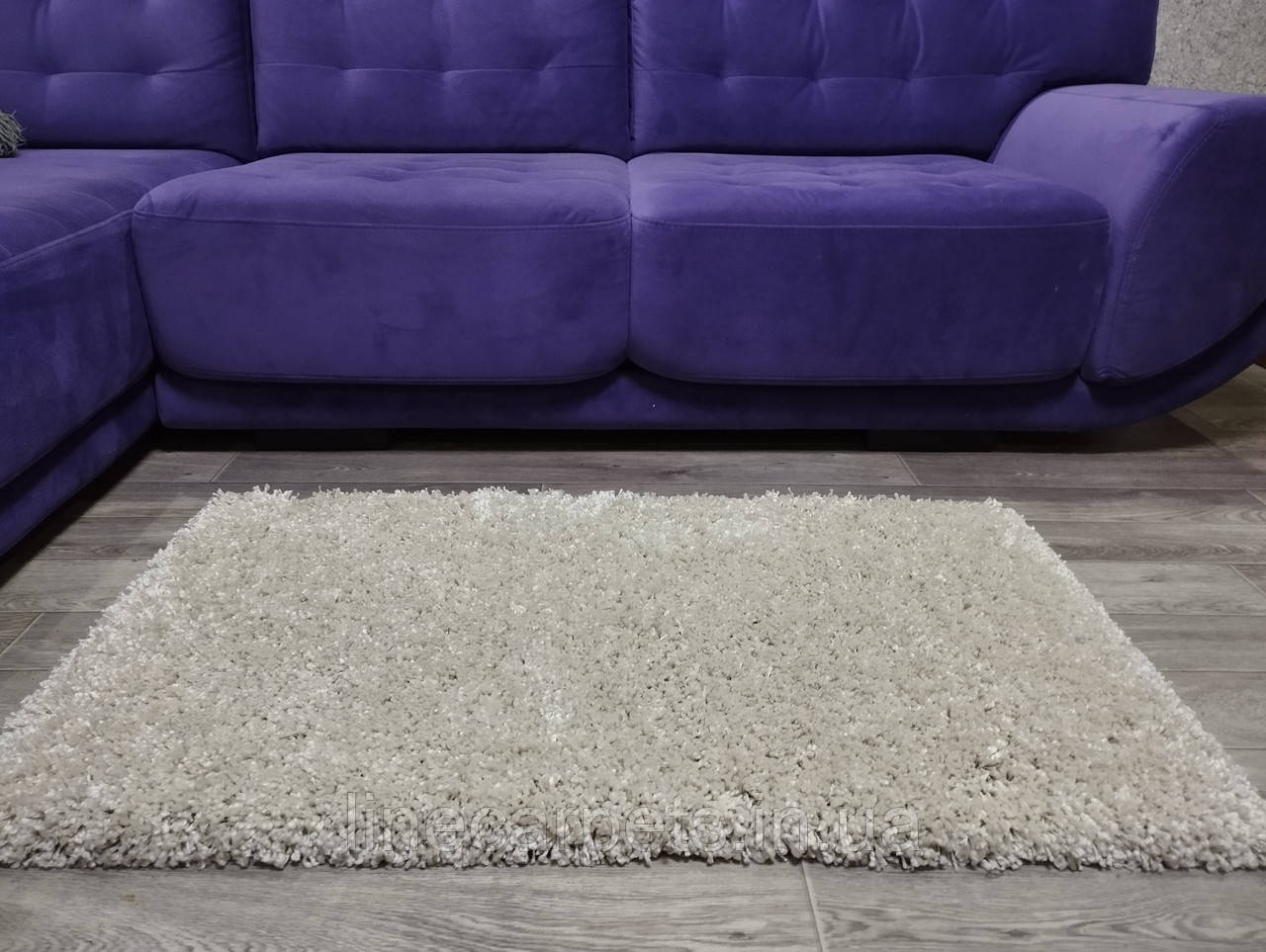 Бежевий килим з високим ворсом  DENSO cream, фото 1