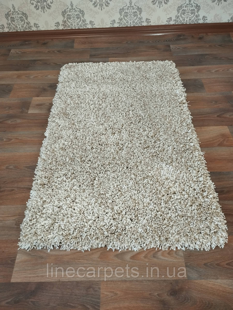 Ворсистий килим бежевий з синтетики DENSO L. BROWN-CREAM, фото 1