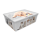 Контейнер Qutu Light Box Cats and Dogs, 25 л