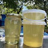 2025 р Мед Акацієвий з білої Акації 1 л рідкий натуральний з сімейної пасіки 1400 грам, фото 6
