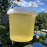 2025 р Мед Акацієвий з білої Акації 1 л рідкий натуральний з сімейної пасіки 1400 грам, фото 5