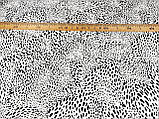 Тканина супер софт, леопардовий принт на білому фоні. №2229, фото 5