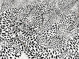 Тканина супер софт, леопардовий принт на білому фоні. №2229, фото 2