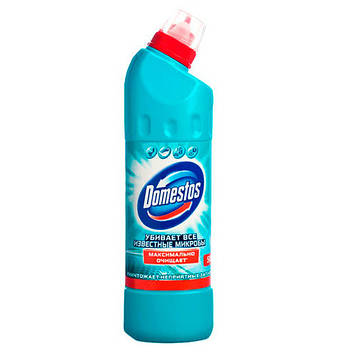 Універсальний засіб Domestos Свіжість Атлантики 1 л (94952)