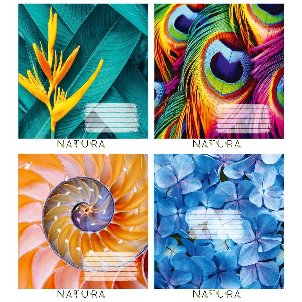 Зошит 96 арк клітинка 917 Natura 2025 уні, фото 1