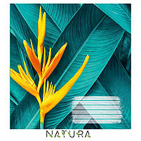 Зошит 96 арк клітинка 917 Natura 2025 уні, фото 3