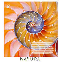 Зошит 96 арк клітинка 917 Natura 2025 уні, фото 4