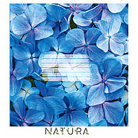 Зошит 96 арк клітинка 917 Natura 2025 уні, фото 5