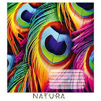 Зошит 96 арк клітинка 917 Natura 2025 уні, фото 2