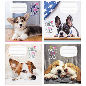 Зошит 12 арк коса 970 Цуценята 2025 уні