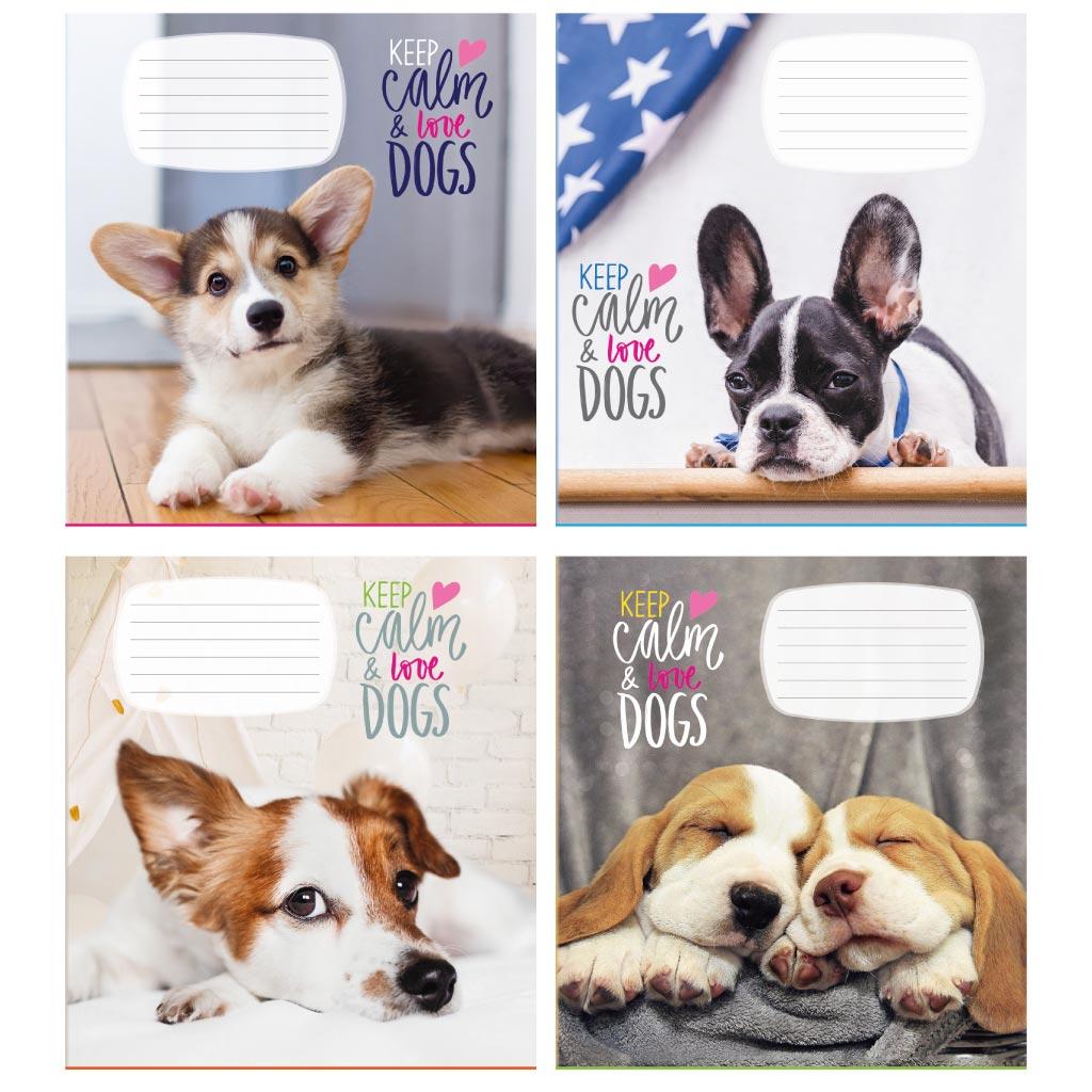 Зошит 12 арк коса 970 Цуценята 2025 уні, фото 1