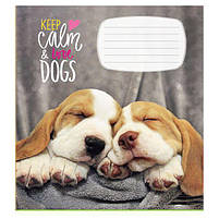 Зошит 12 арк коса 970 Цуценята 2025 уні, фото 3