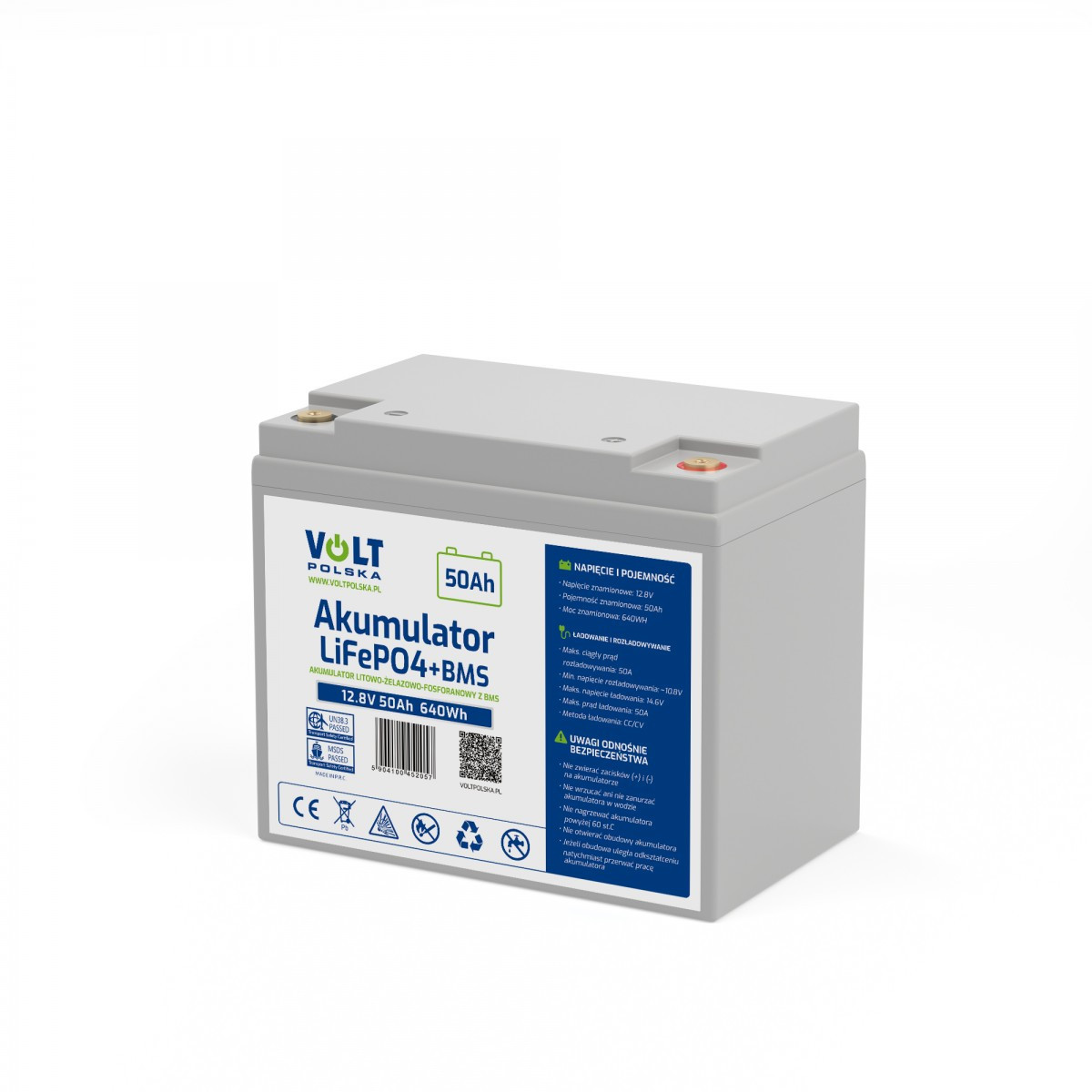 Акумуляторна батарея Volt Polska LiFePO4 12,8V 50Ah (50А) + BMS, для кемперів та човнів, фото 1