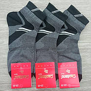 Шкарпетки жіночі середні літо сітка р.23-25 сірі Capitano sport 30031682, фото 4