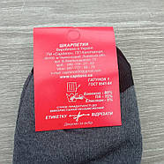 Шкарпетки жіночі середні літо сітка р.23-25 сірі Capitano sport 30031682, фото 8