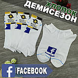 Шкарпетки короткі весна/осінь Rock'n'socks 455-27 Україна one size (37-44р) 20033699, фото 4